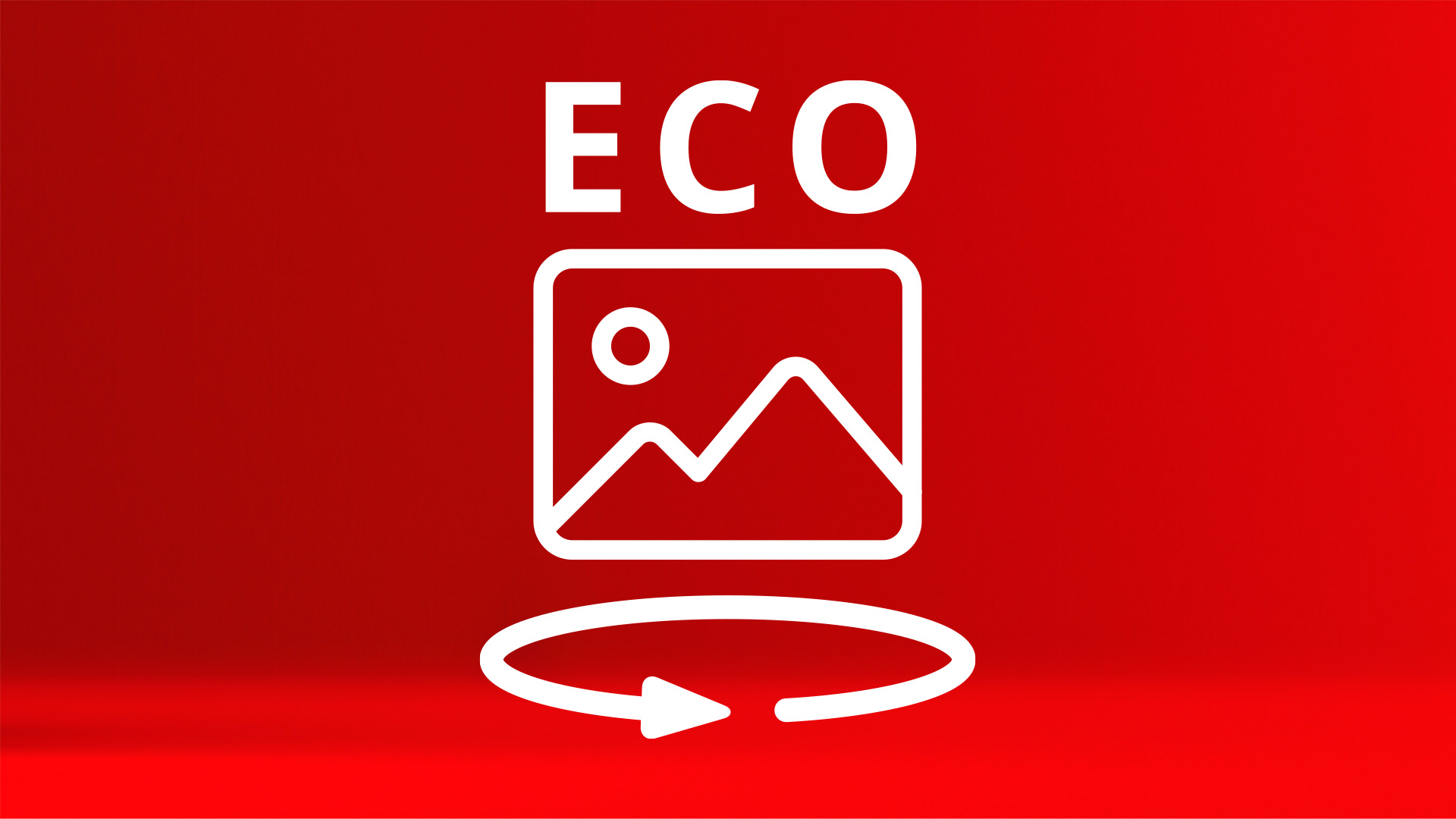 DMT360° Eco Tour